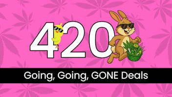 Greenery Spot 25% Off Whole Store First Time Customer