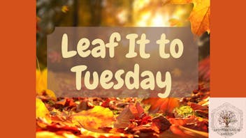 Apothecarium Green Leaf It to Tuesday 🍂