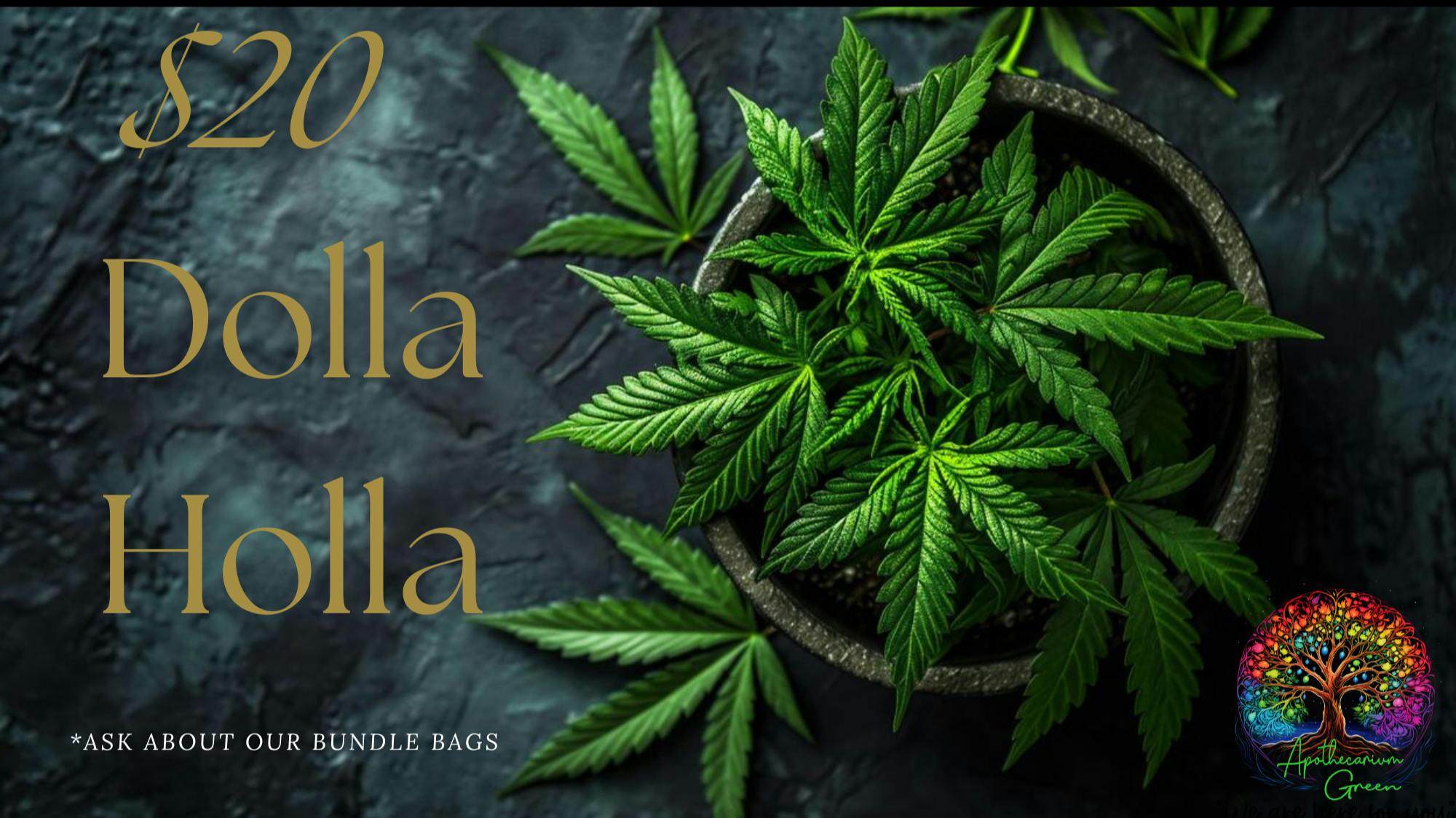 Apothecarium Green ✨🌿 DISCOVER MORE. SPEND LESS. 🌿✨