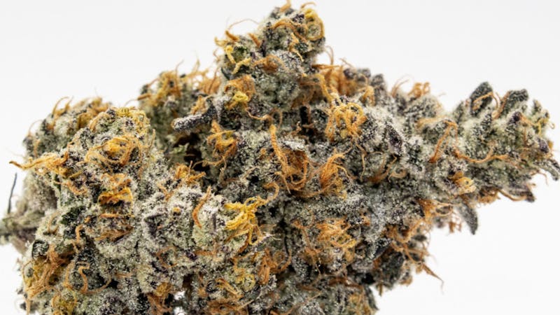 Culture Biloxi Shop 25% off select flower