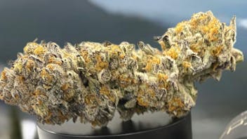 Culture Biloxi Shop Super Special Sunday