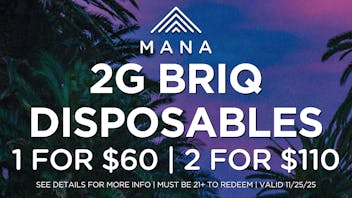 Mana Supply Co. Edgewater 2g Briq Disposables