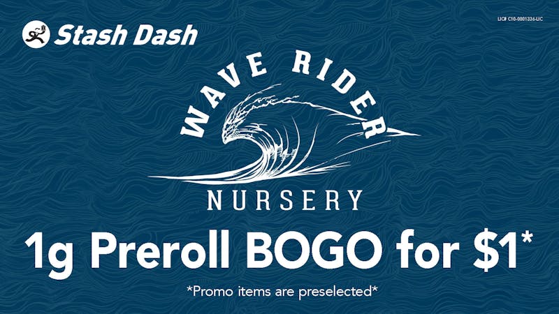 Stash Dash Wave Rider 1 Gram Preroll BOGO for $1*
