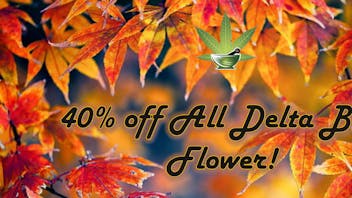 The Herbalist 40% Off Delta Bud Flower