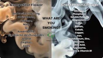 Grant Pharms II WHAT ARE YOU SMOKING? 💨