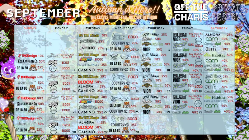 OFF THE CHARTS - WEHO STASH SEASON 👀 | September Deals