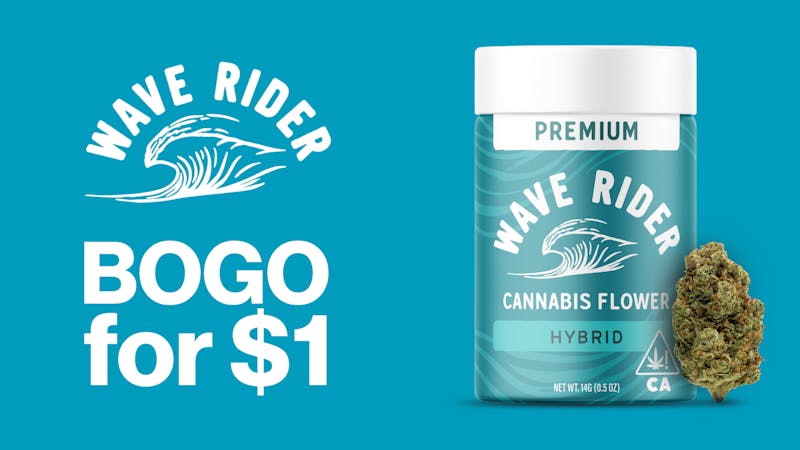 The Artist Tree - Dixon Wave Rider BOGO $1