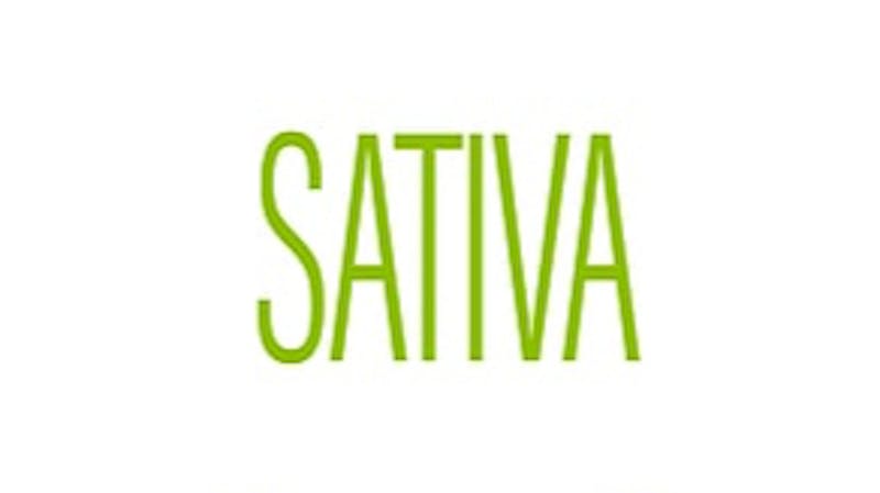 High Hopes - Jackson Sativa Flower & Pre Rolls 20% off