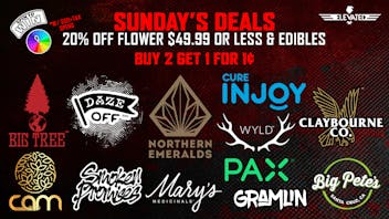 Elevated San Francisco Sunday Q4 Deals