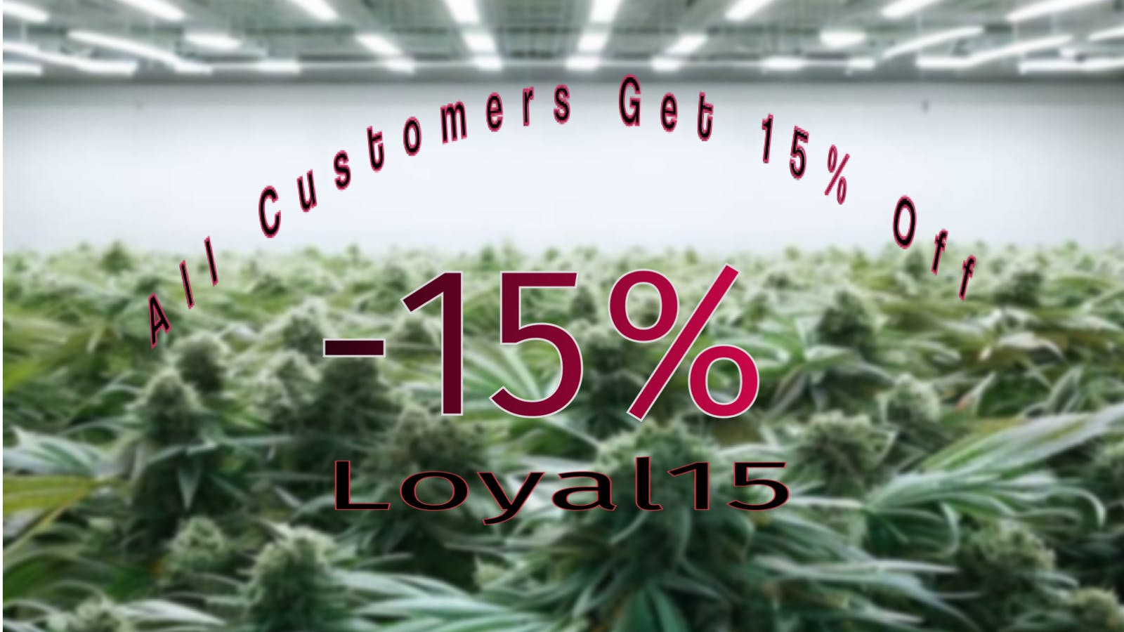 California Canna Company Loyal15 Calicannaco.com