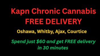 Kapn Chronic - Delivery Whitby 🌿 Kapn Chronic Cannabis - FREE DELIVERY! 🌿