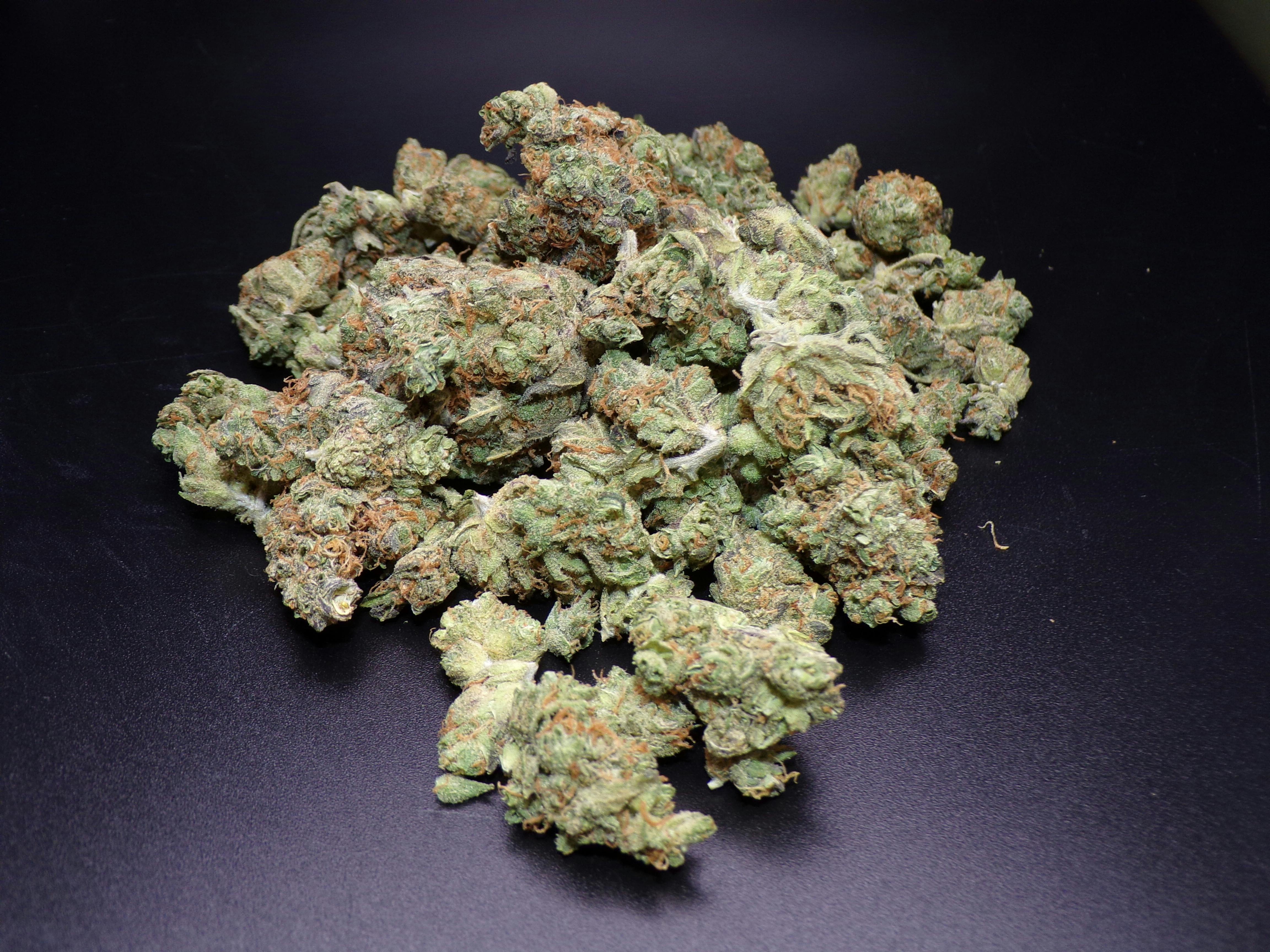 BOLD - Rainmaker 14g