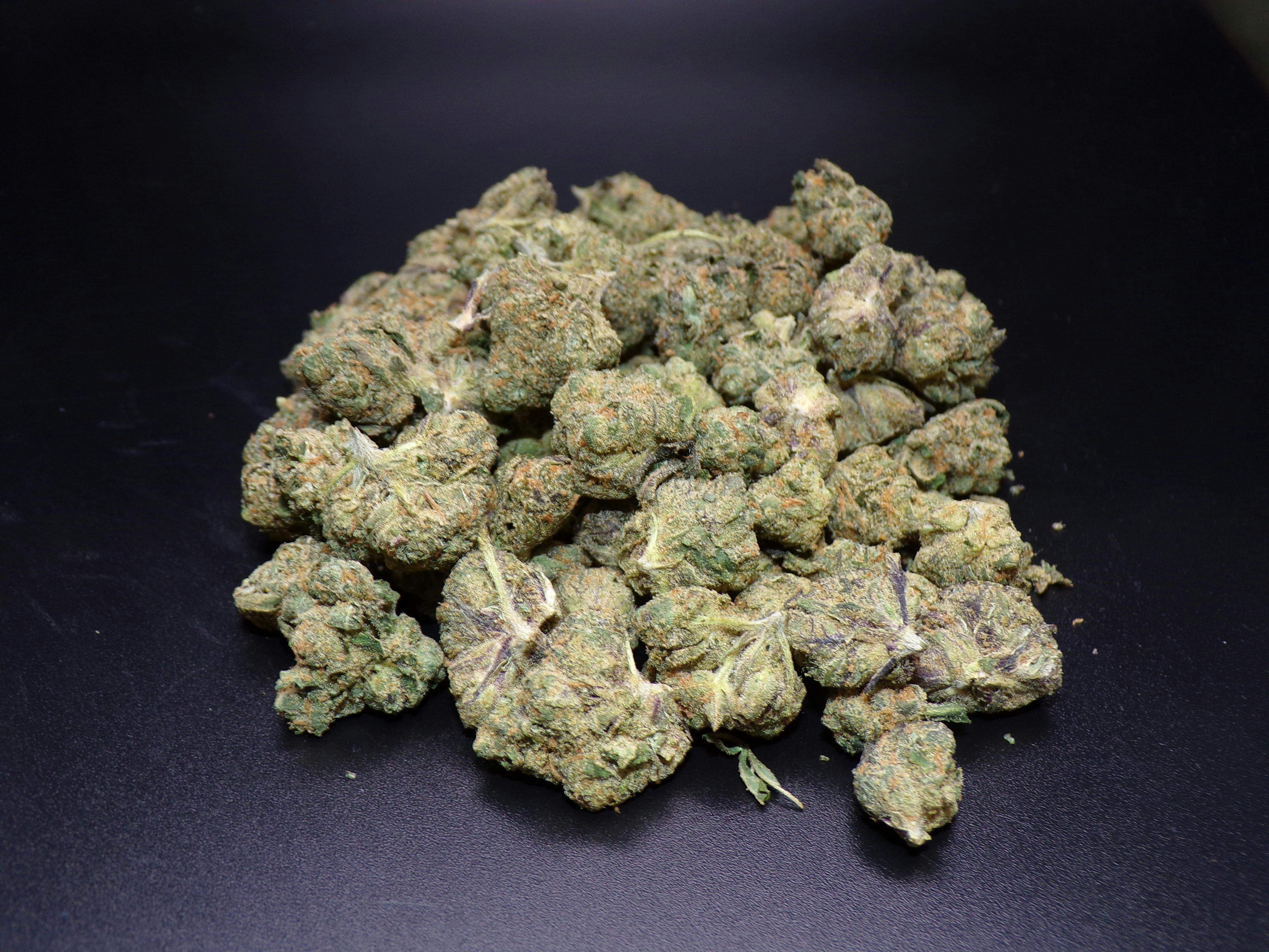 BOLD - Baby Jokerz 14g