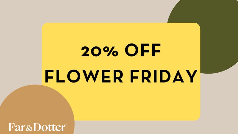 Far & Dotter - Olive Branch Flower Friday - 20% Off ALL FLOWER!