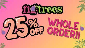 Fig Trees SAVE 25% OFF STORE!