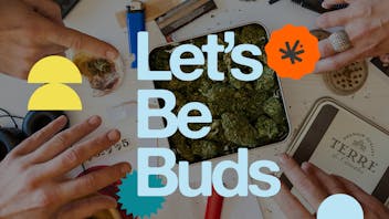 Dris - Boston's Best Cannabis Delivery Service $20 OFF YOUR FIRST DELIVERY