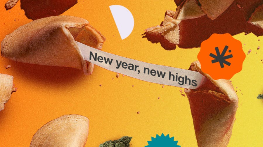 Dris - Boston's Best Cannabis Delivery Service $15 OFF Your Next Order In 2026