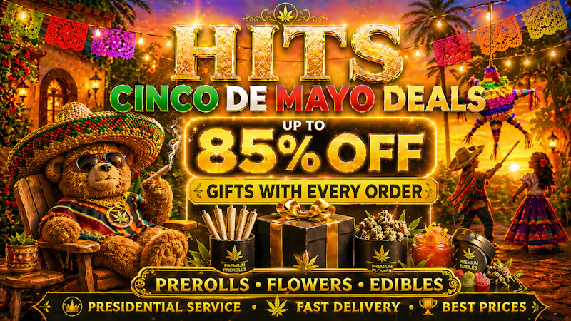 HITS CINCO BLOWOUT : UP TO 85% OFF