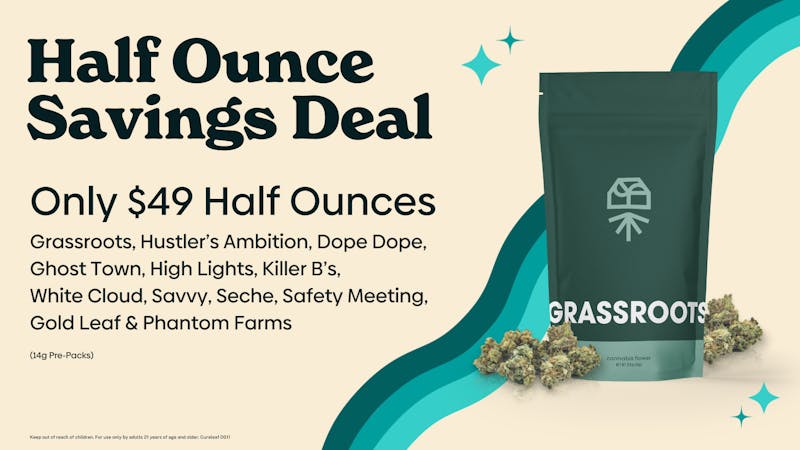 Curaleaf Las Vegas Boulevard 🤑 $49 half ounces 🤑