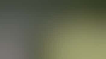 Zen Leaf - Neptune Buy two, get two Savvy 7g flower