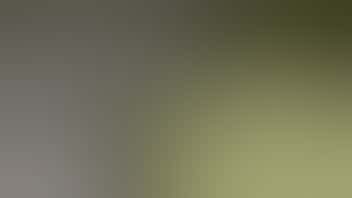 Zen Leaf - Mount Holly 30% OFF Verano, (the) Essence, Encore & More!