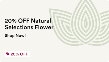 Zen Leaf Plymouth 20% OFF Natural Selections Flower