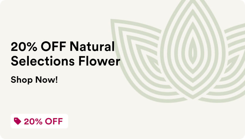 Zen Leaf Plymouth 20% OFF Natural Selections Flower