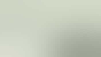 Zen Leaf Fairless Hills 40% Off Top Brand Flower