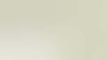 Zen Leaf Washington 40% Off Verano, Savvy, Essence, & More!