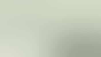 Zen Leaf Wheeling 2 for $60 Gelato 41 & Glitter Bomb 3.5g