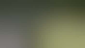 Zen Leaf - Robinson Township 4 for $99 Savvy 1g Carts