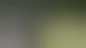 Zen Leaf - Newark 2 for $150 Savvy 14.15g Smalls