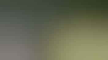 Zen Leaf Pasadena $59 Savvy 2g Hyphen Vapes