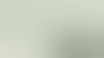 Zen Leaf Aurora 30% OFF Featured Brands