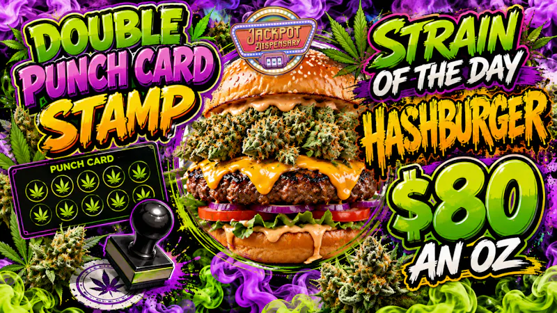 Jackpot Dispensary Hashburger Strain of the Day!!!