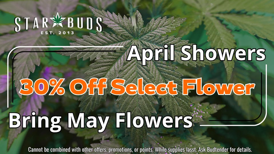 Star Buds - Pearl May Flowers: 30% Off Select Flower