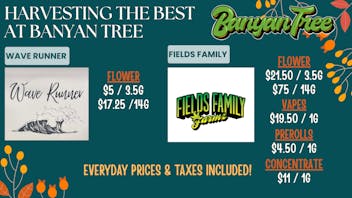 Banyan Tree Fresno Harvesting the Best!