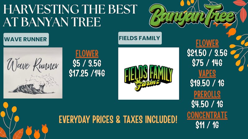 Banyan Tree Fresno Harvesting the Best!