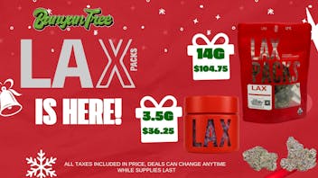 Banyan Tree Fresno Cleared for Takeoff at Banyan Tree! ✈️🎄