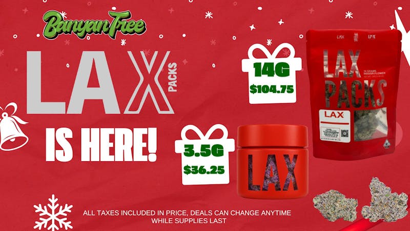 Banyan Tree Fresno Cleared for Takeoff at Banyan Tree! ✈️🎄