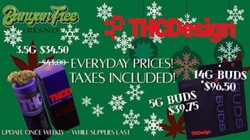 Banyan Tree Fresno 🎄 Holiday Highs with THC Design! ❄️