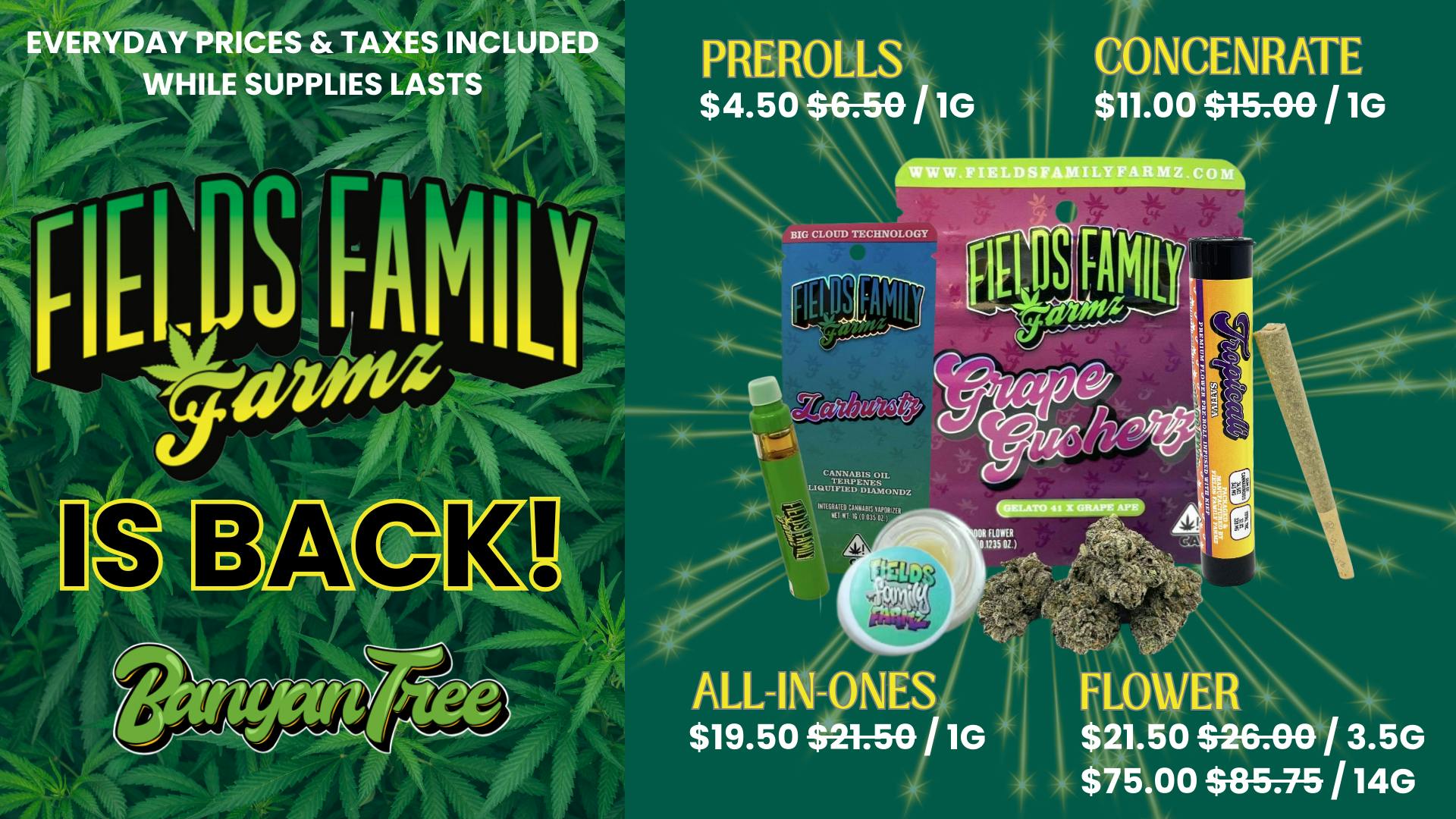 Banyan Tree Fresno Fields Family is Back! 🍃