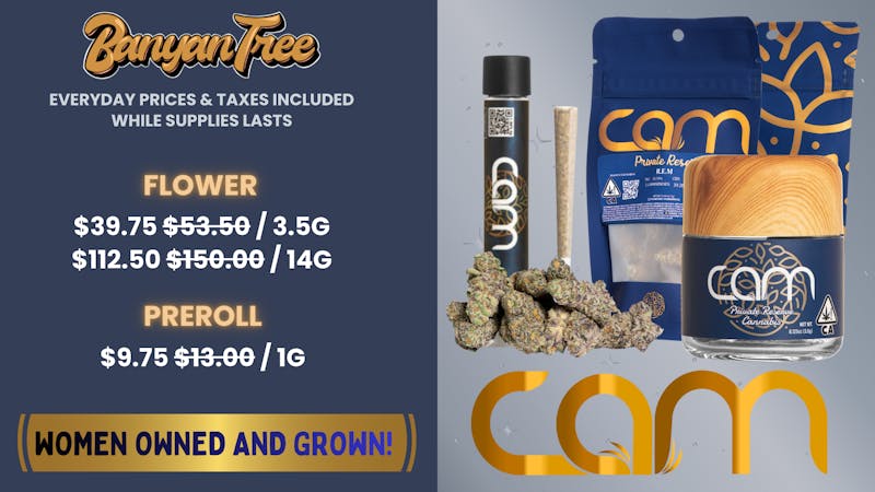 Banyan Tree Fresno CAM! Women Owned and Grown 🌲🌲