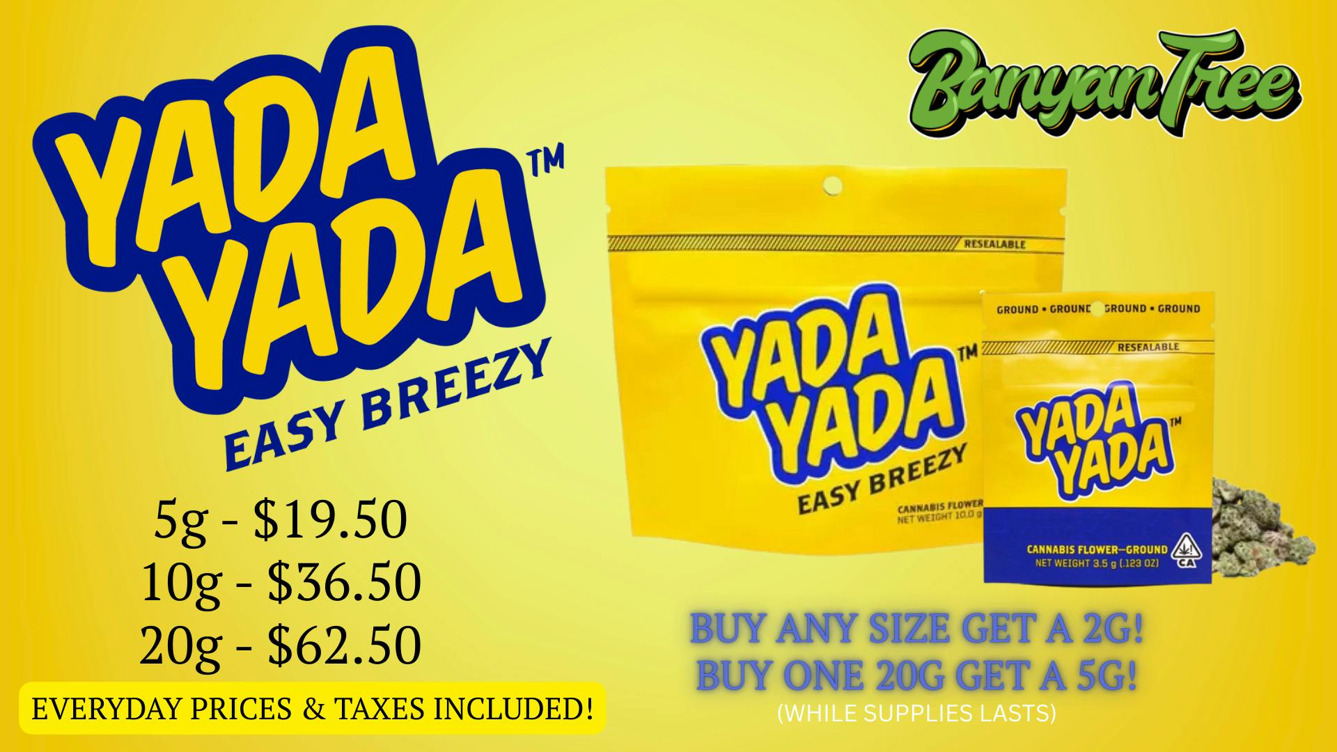 Banyan Tree Fresno EASY BREEZY - YADA YADA 💛💙