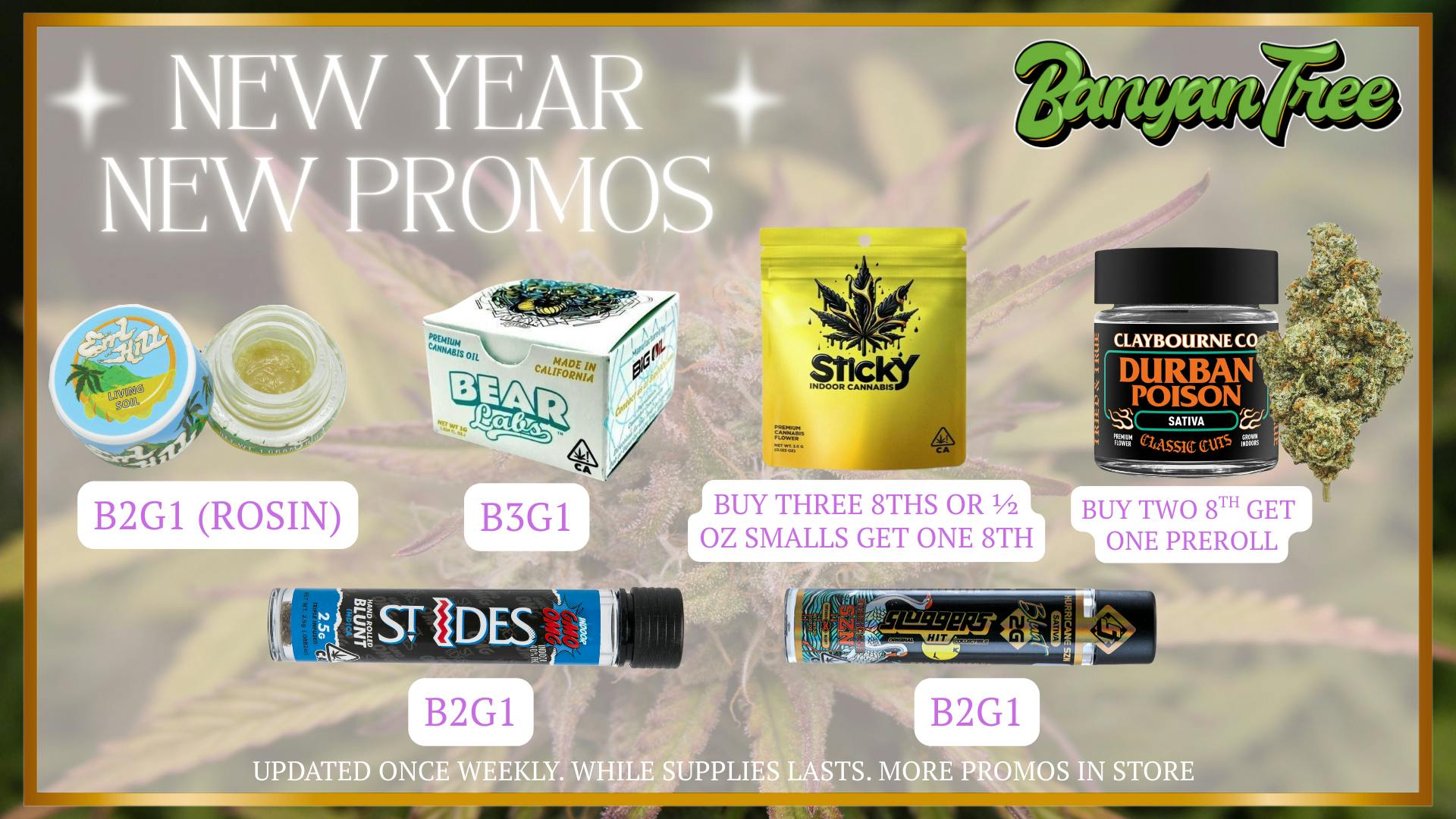 Banyan Tree Fresno 🥂 New Year, New Promos 🥂