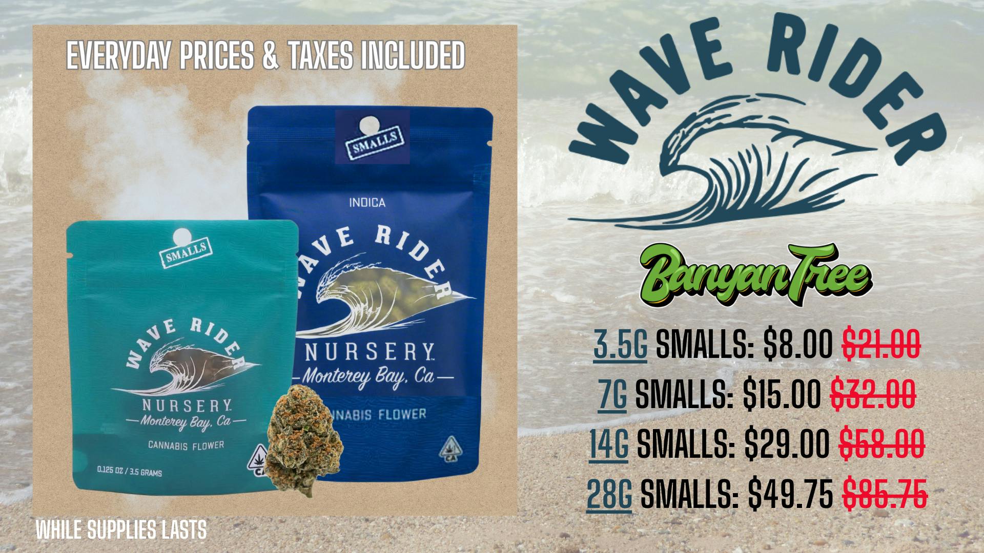 Banyan Tree Fresno Ride the Wave 🌊