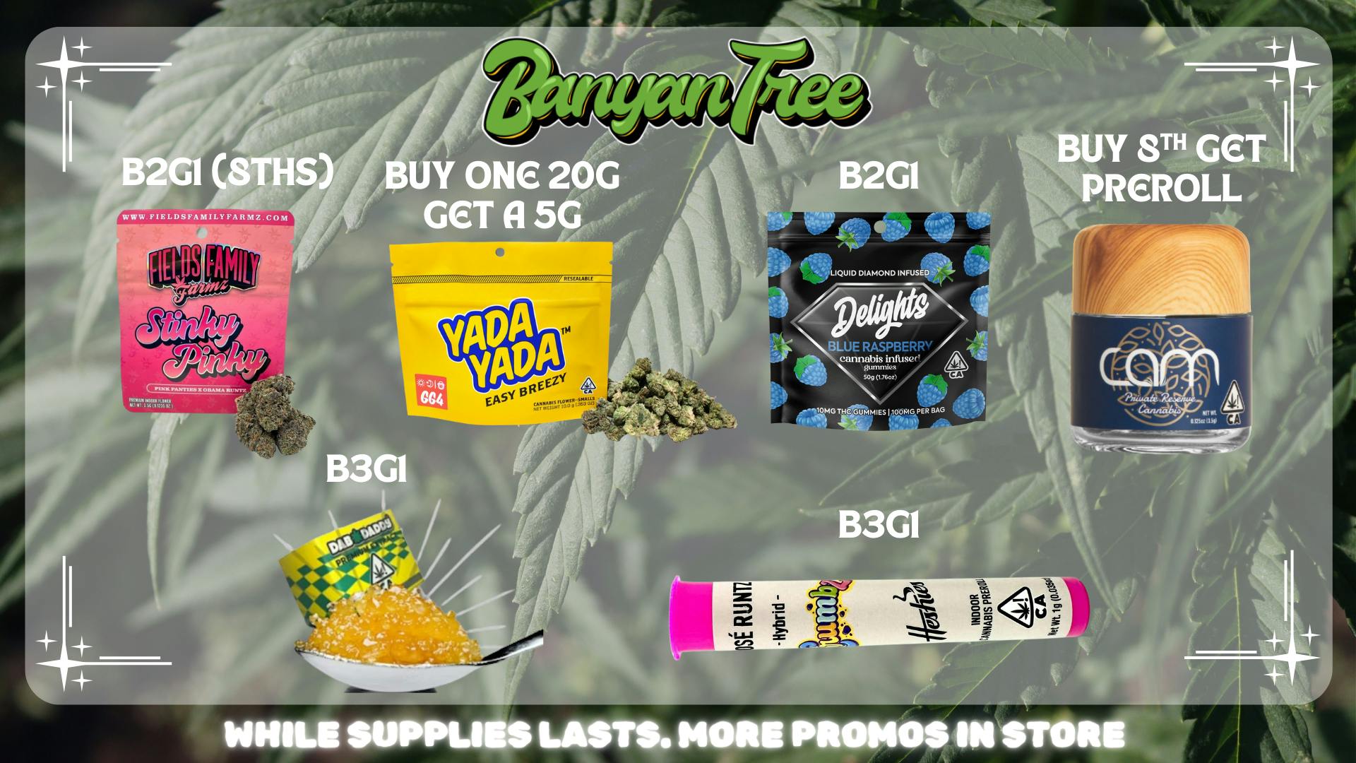 Banyan Tree Fresno Your deals are awaiting you 🌴