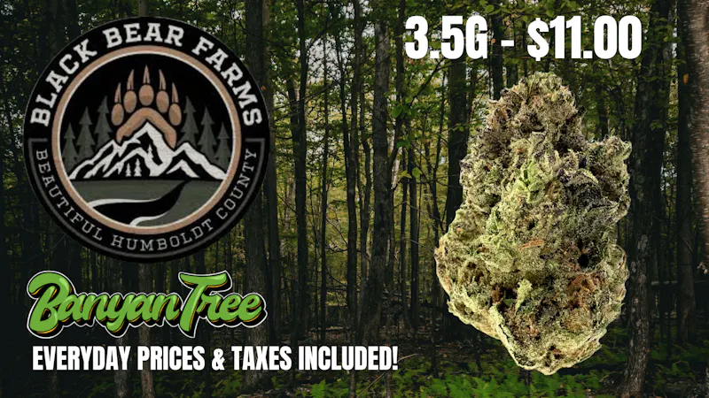 Banyan Tree Fresno Black Bear Farms 🐻🌲