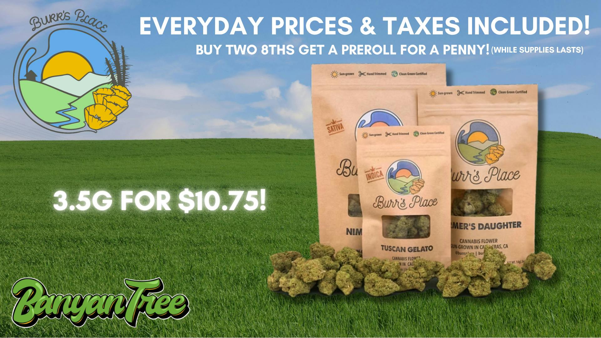 Banyan Tree Fresno Burr's Place: Where Family Meets Flower