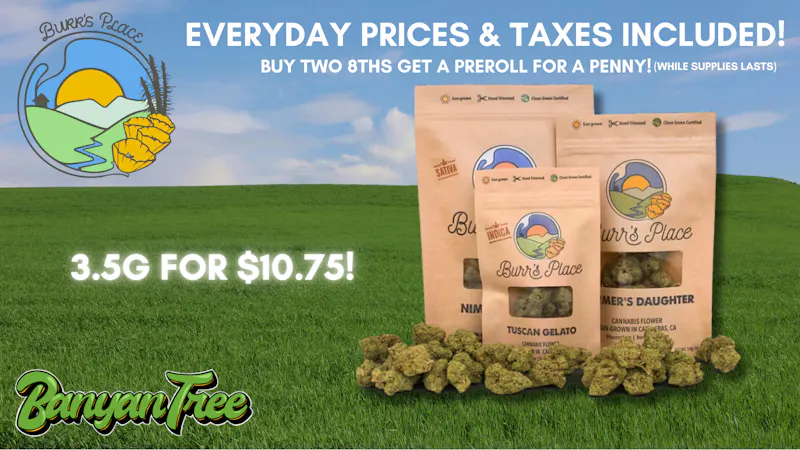 Banyan Tree Fresno Burr's Place: Where Family Meets Flower